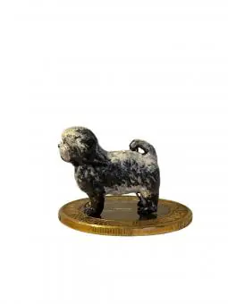 Lhasa Apso