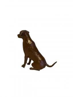 Labrador