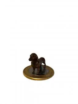 Dachshuns Salsicha