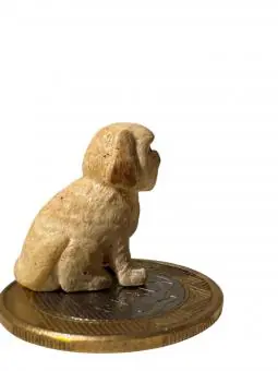 Lhasa sentado