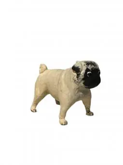 Pug