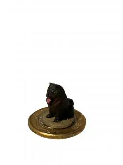 Chow Chow
