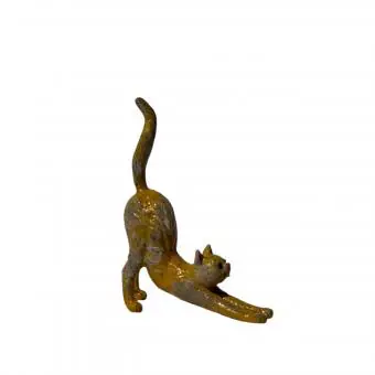 Gato espreguiçando