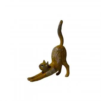 Gato espreguiçando