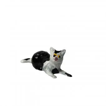 Gato deitado