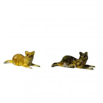 Gato deitado