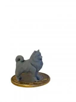Spitz Alemão