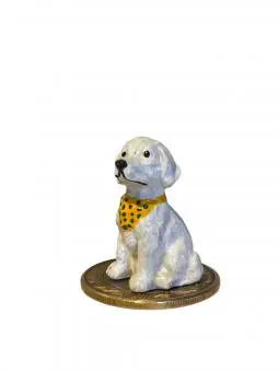 Cachorro Genérico
