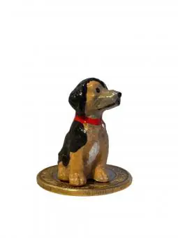 Cachorro Genérico