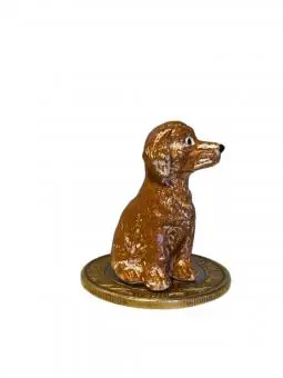 Cachorro Genérico