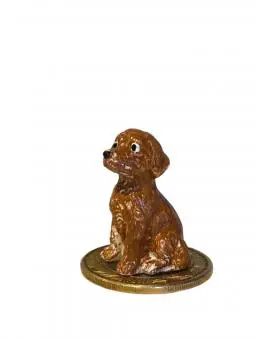 Cachorro Genérico